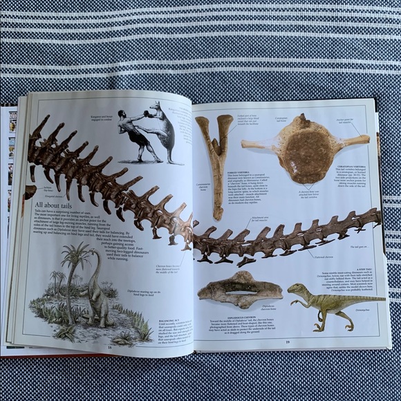 5/$25 🌸 Bundle of DK Eyewitness Books - Picture 3 of 6